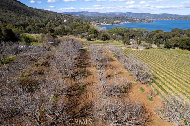 8993 Soda Bay Road, Kelseyville CA: https://media.crmls.org/medias/b8575884-d0fe-4b03-90a7-7e6b0b2f875a.jpg