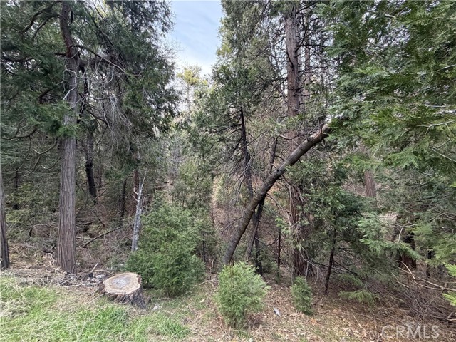 Detail Gallery Image 4 of 12 For 0 Hook Creek, Cedar Glen,  CA 92321 - – Beds | – Baths