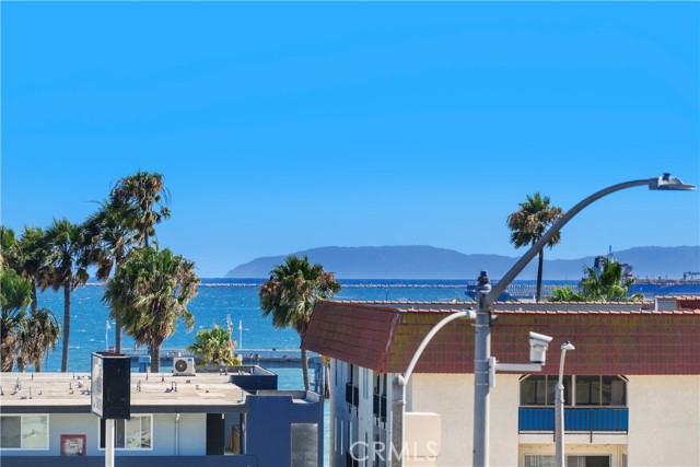 3901 E Livingston Drive, Long Beach CA: https://media.crmls.org/medias/b85d3037-9d2d-411e-a03c-1bc6c3846518.jpg