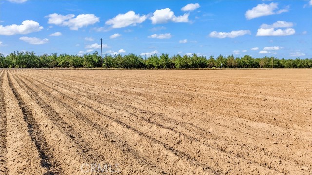 Detail Gallery Image 16 of 19 For 0 Bloss Ave & Sycamore St, Delhi,  CA 95315 - – Beds | – Baths