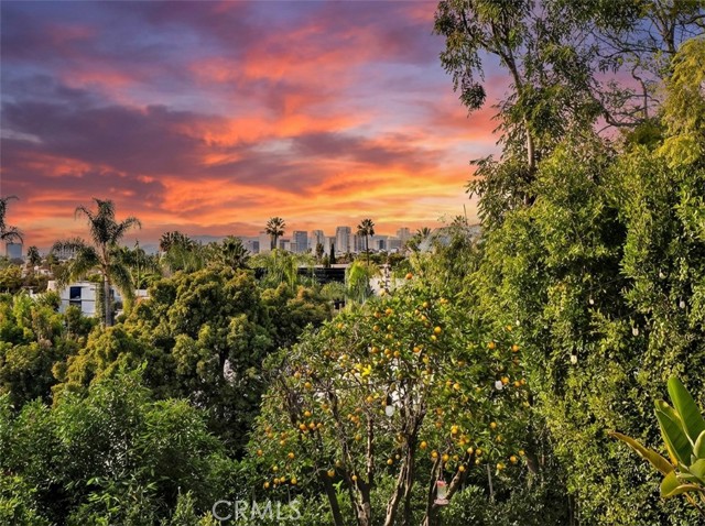 Detail Gallery Image 20 of 27 For 10335 Orton Ave, Los Angeles,  CA 90064 - 3 Beds | 2/1 Baths