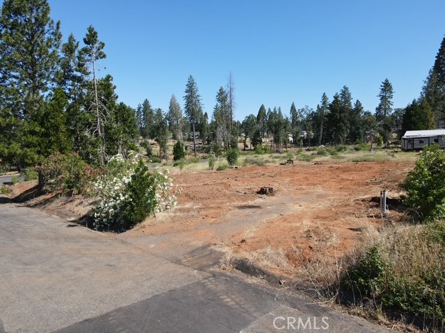 Front Image Thumbnail for CRPA26103421