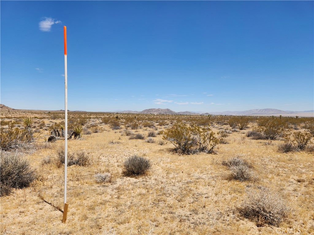 MLS #HD25223485 image #2