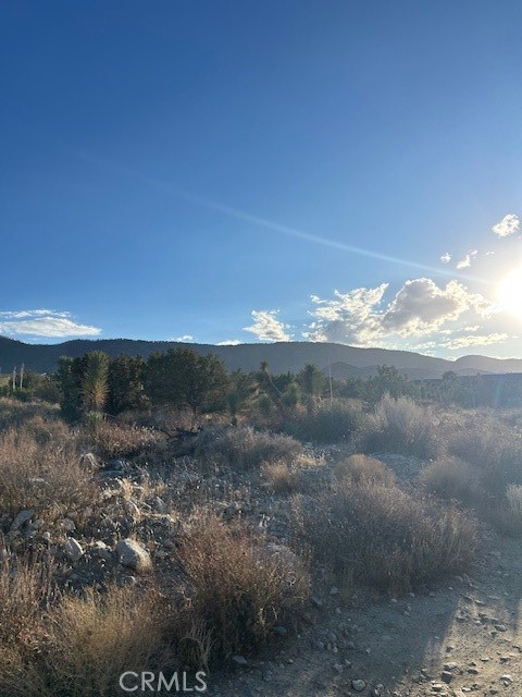 Detail Gallery Image 5 of 6 For 0 Yucca, Pinon Hills,  CA 92372 - – Beds | – Baths