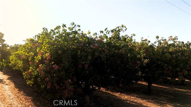 0 AVE 21-ROAD 27, Madera CA: https://media.crmls.org/medias/b8709584-f9ba-484b-81d0-86ff38f5fd25.jpg