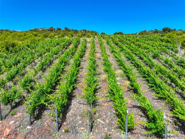 0 Via Herradura, Murrieta CA: https://media.crmls.org/medias/b879392c-588c-4abe-a36b-57547876318f.jpg