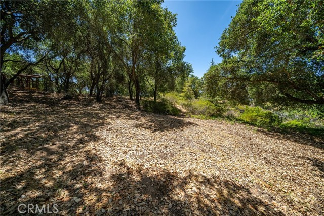 615 Sweet Donna Place, Nipomo CA: https://media.crmls.org/medias/b87d130c-a0e7-4978-a163-cdca19415cdc.jpg
