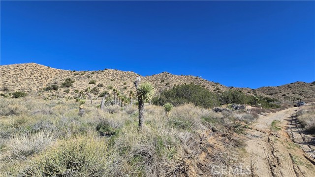 Detail Gallery Image 13 of 31 For 0 Pinon Road to Mescal Highlands, Llano,  CA 93544 - – Beds | – Baths
