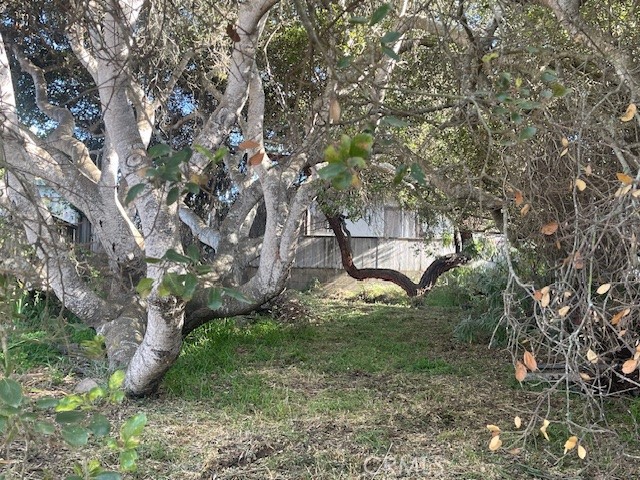 405 Henrietta Avenue, Los Osos CA: https://media.crmls.org/medias/b882bc0e-0202-43cc-a25b-56c9dd4138e5.jpg