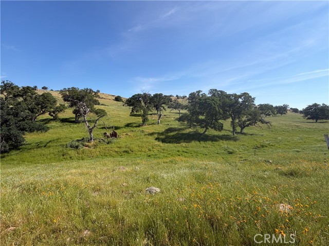Detail Gallery Image 61 of 70 For 1991 Ca-140, Catheys Valley,  CA 95306 - 3 Beds | 3 Baths