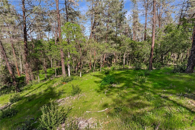 Detail Gallery Image 7 of 19 For 9200 Silver King Rd, Redding,  CA 96001 - – Beds | – Baths