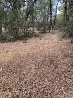16288 12th, Clearlake, CA, 95422 16288 12th, Clearlake, CA, 95422