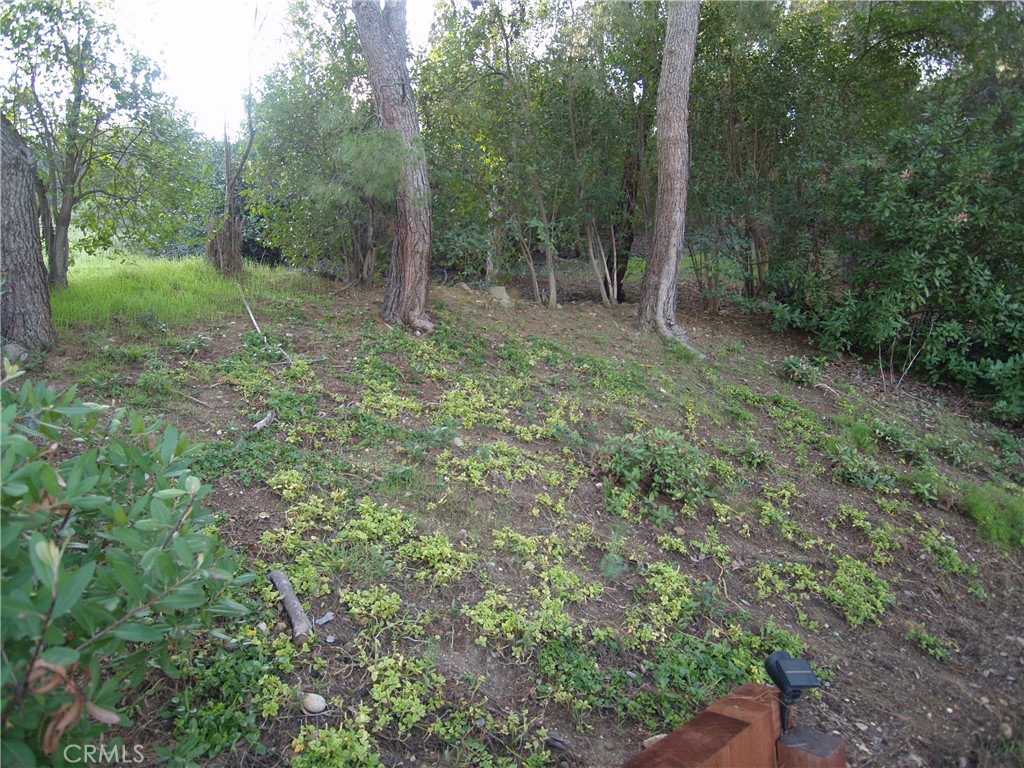 MLS #CV25270000 image #41