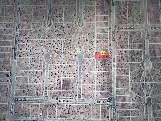 California City, CA 93505