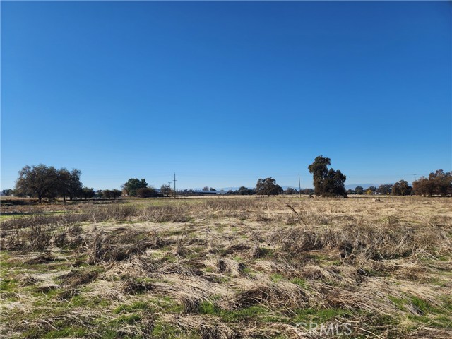 Detail Gallery Image 32 of 42 For 1882 Capay Rd, Corning,  CA 96021 - – Beds | – Baths