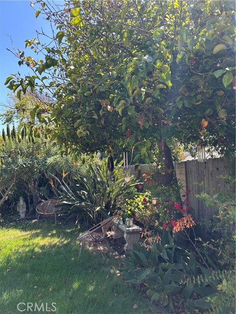 1180 Marbella, Grover Beach CA: https://media.crmls.org/medias/b89ca81c-4b5d-443c-a979-19f4d2a73ef9.jpg