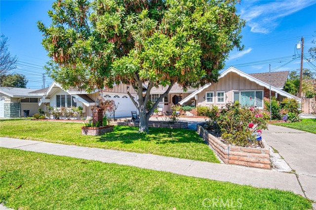 Front Image Thumbnail for CROC26068969