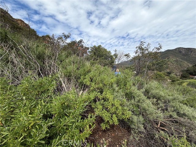 Detail Gallery Image 14 of 16 For 0 Ladd Canyon, Silverado,  CA 92676 - – Beds | – Baths