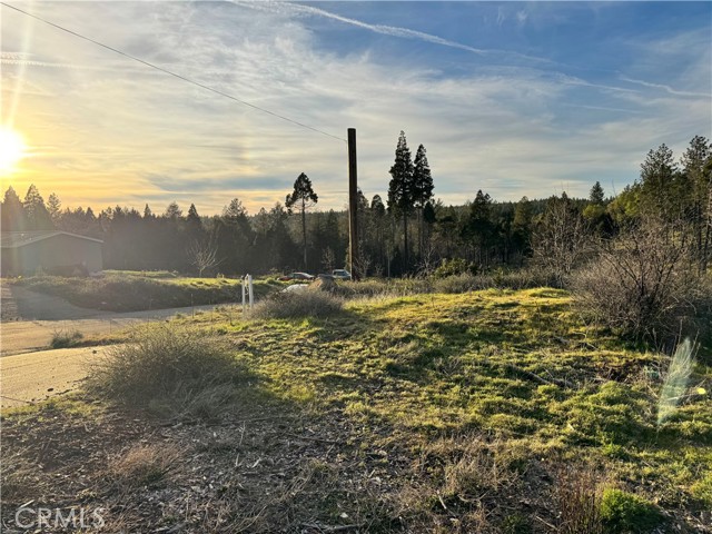 Front Image Thumbnail for CRSN26052391