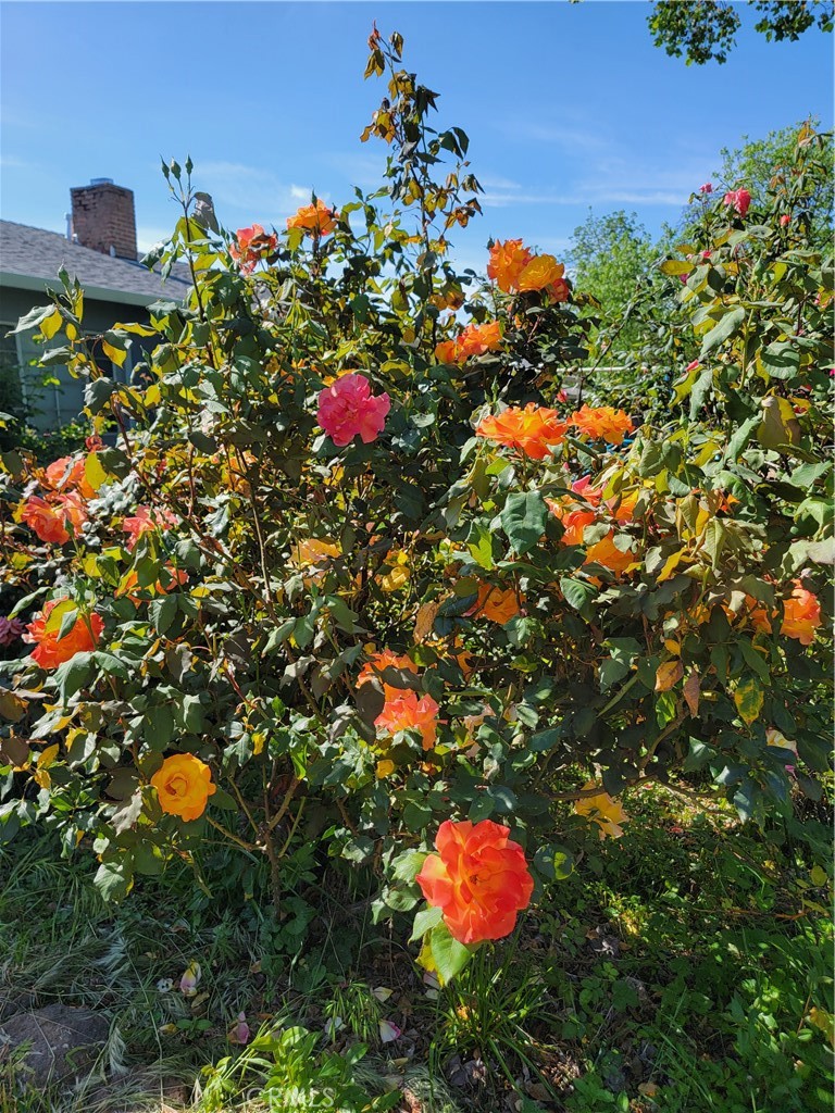 https://media.crmls.org/medias/b8a5048a-7967-4ee4-b646-5a5c50059ad2.jpg?preset=X-Large