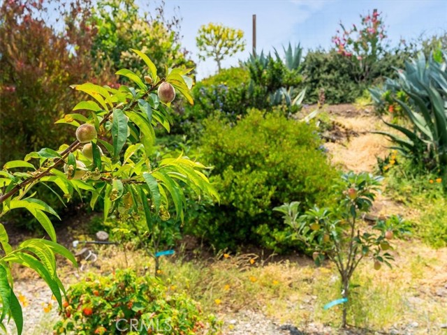 1750 La Luna Court, San Luis Obispo CA: https://media.crmls.org/medias/b8a5844f-c323-47cc-b700-1b1454f2afbd.jpg