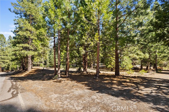 Image 3 of 32 For 701 Lake Ridge Road