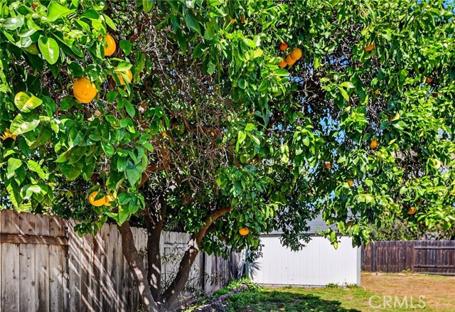 Detail Gallery Image 33 of 46 For 138 Terrace Ln, San Marcos,  CA 92069 - 4 Beds | 2 Baths