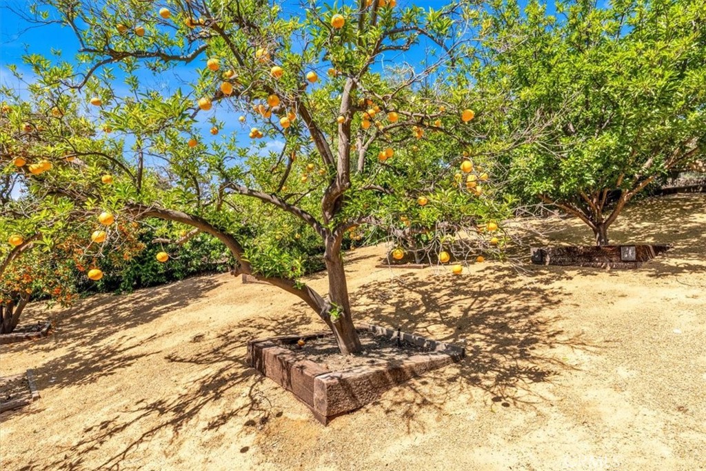 https://media.crmls.org/medias/b8abb418-2a01-45fd-80a4-d513ede5d2c6.jpg?preset=X-Large
