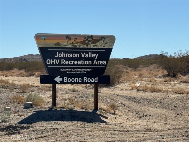 Image 1 of 2 For 15 Datura  