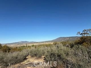 MLS #SW25227735 image #14