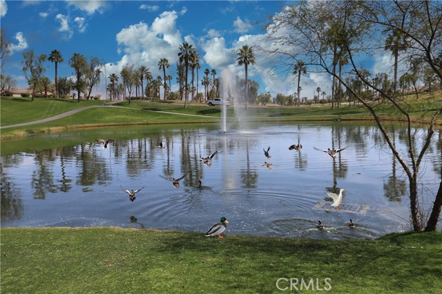 80358 Avenida Santa Alicia, Indio CA: https://media.crmls.org/medias/b8b6deeb-b0d4-4654-beeb-f1d3a199a751.jpg