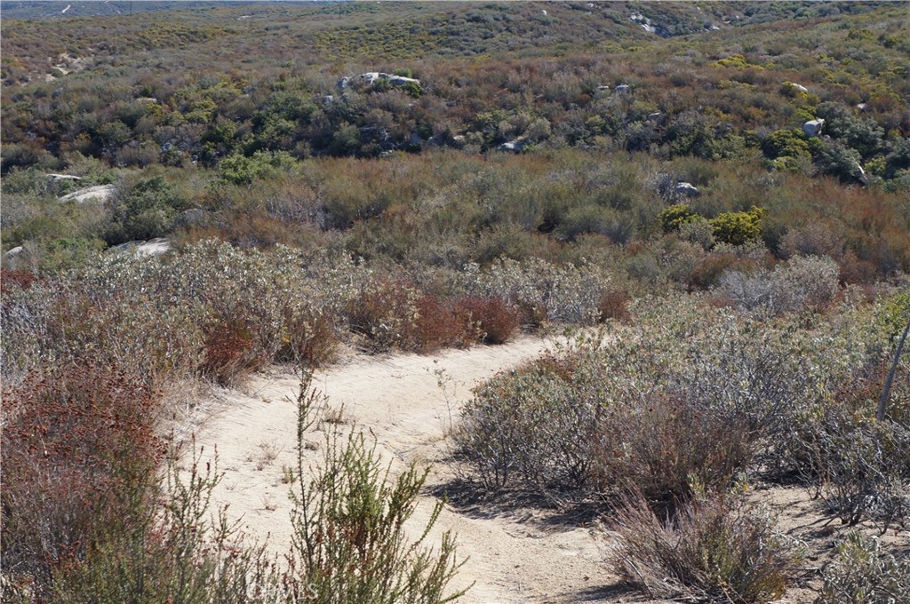 MLS #SB25011782 image #1