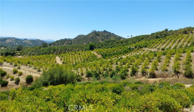 5 De Anza Road, Temecula CA: https://media.crmls.org/medias/b8bc10a0-0511-45f5-a7dd-d47ad4bd3fa6.jpg