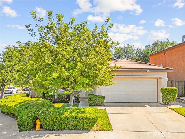 24795 Shady Pine Court, Murrieta CA: https://media.crmls.org/medias/b8bca06c-d1b0-496d-a007-3508bded2b4a.jpg