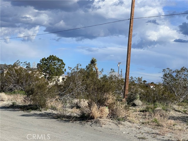 Detail Gallery Image 4 of 4 For 0 La Mesa Rd, Pinon Hills,  CA 92372 - – Beds | – Baths