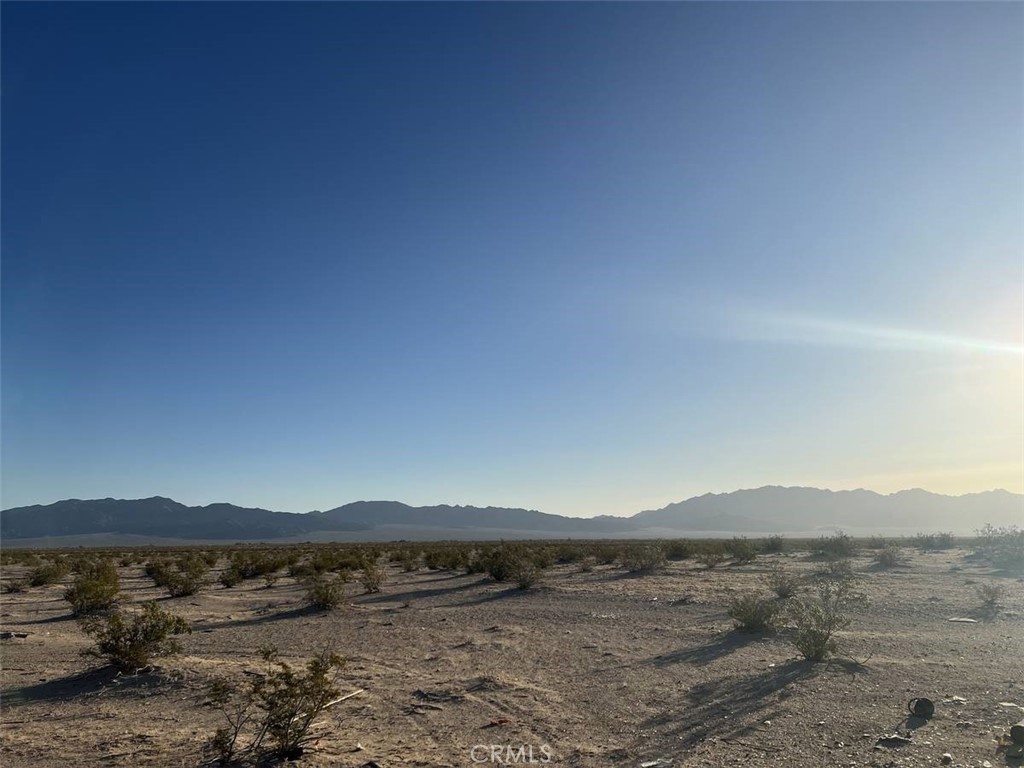 MLS #OC25279969 image #5