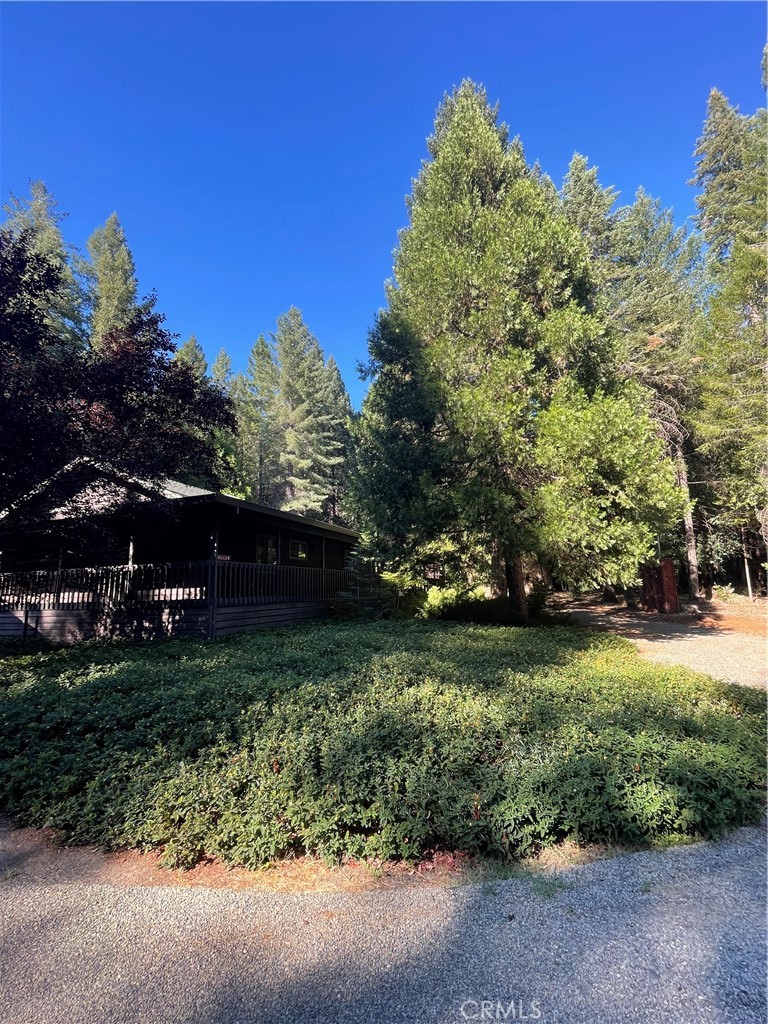 B8C80D18 4E6D 4107 9F56 423Cd84998D5 6735 Lakefront Dr, Magalia, Ca 95954 &Lt;Span Style='BackgroundColor:transparent;Padding:0Px;'&Gt; &Lt;Small&Gt; &Lt;I&Gt; &Lt;/I&Gt; &Lt;/Small&Gt;&Lt;/Span&Gt;