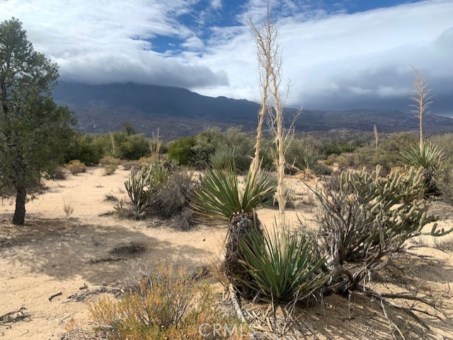Detail Gallery Image 11 of 15 For 368 Palm Canyon Dr, Mountain Center,  CA 92561 - – Beds | – Baths