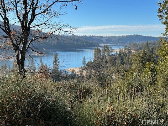 Detail Gallery Image 29 of 50 For Address Is Not Disclosed, Bass Lake,  CA 93604 - 4 Beds | 4 Baths