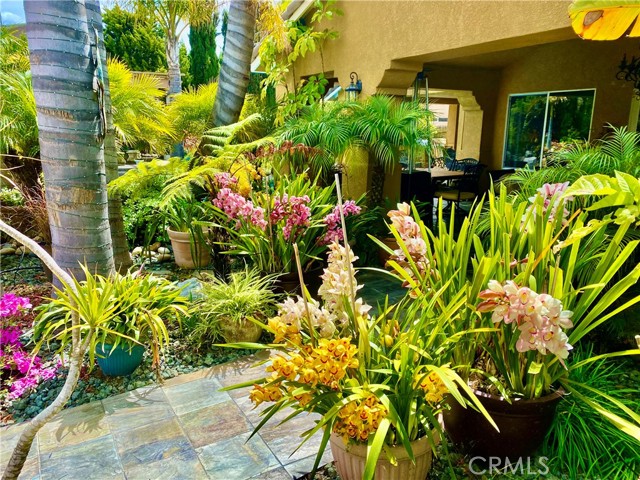 Detail Gallery Image 14 of 59 For 527 San Antonio Dr, Santa Maria,  CA 93455 - 4 Beds | 3 Baths