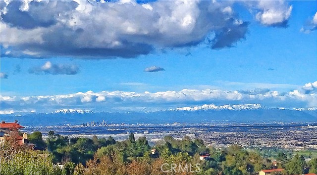 Snow capped mountain view