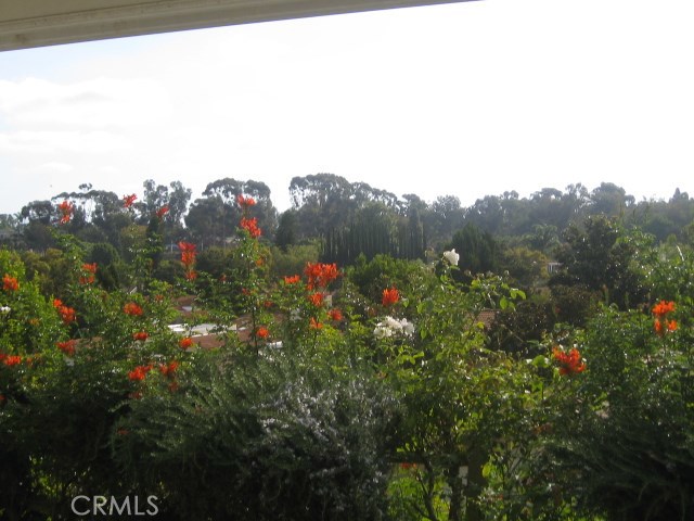 Detail Gallery Image 16 of 28 For 5062 Avenida Del Sol, Laguna Woods,  CA 92637 - 3 Beds | 2 Baths