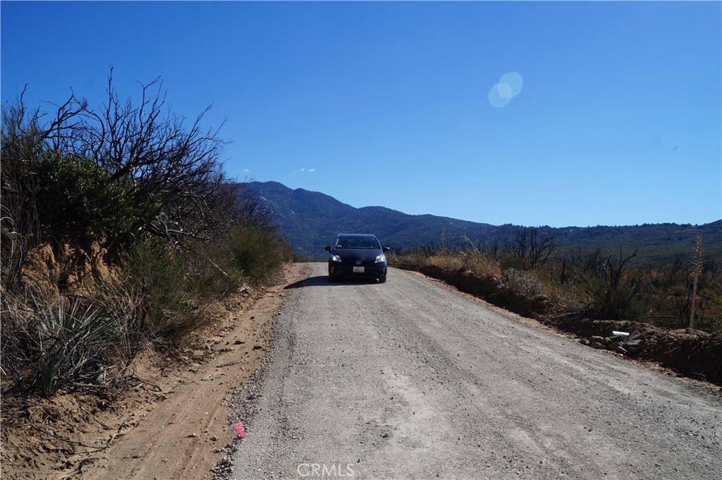 MLS #SB25011782 image #7