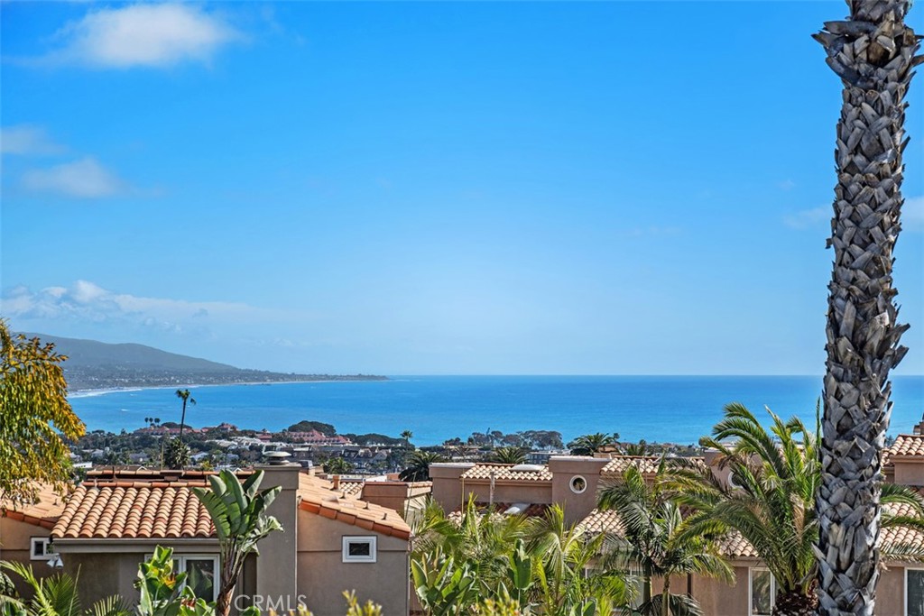 33695 Blue Lantern #B