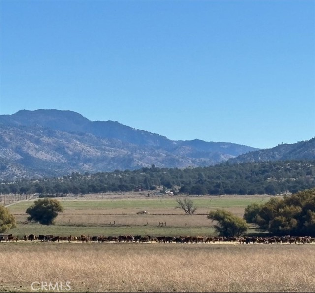 Detail Gallery Image 9 of 50 For 18266 Caliente Creek Rd, Caliente,  CA 93518 - 2 Beds | 2 Baths
