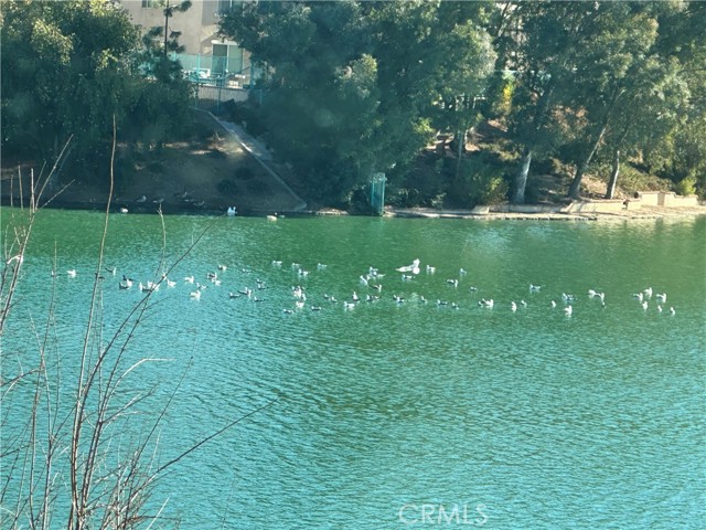 25855 Lake Shore Ln, Moreno Valley CA: https://media.crmls.org/medias/b8eec475-3a5b-4ef5-9d57-0c34c41a149d.jpg