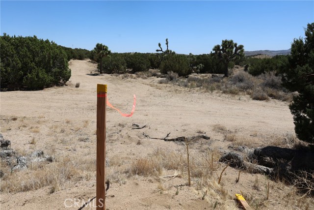 Detail Gallery Image 50 of 58 For 0 Longview Rd, Pearblossom,  CA 93553 - – Beds | – Baths