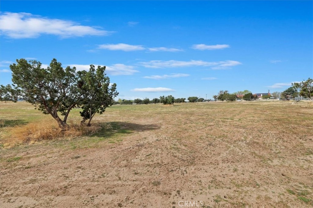 MLS #CV25073596 image #46