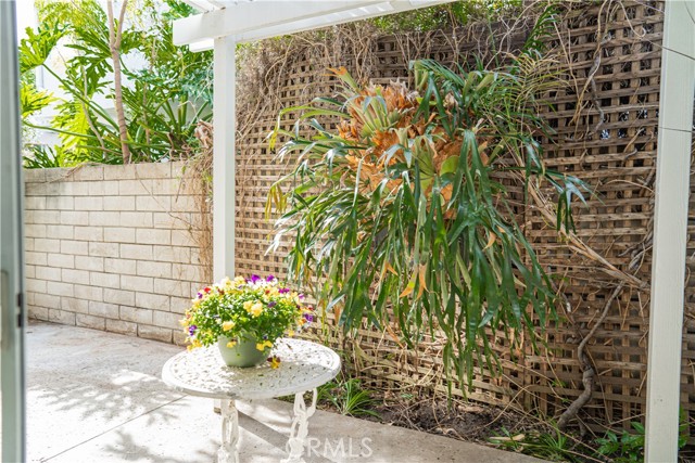 Image 4 of 31 For 25592 Goldenspring