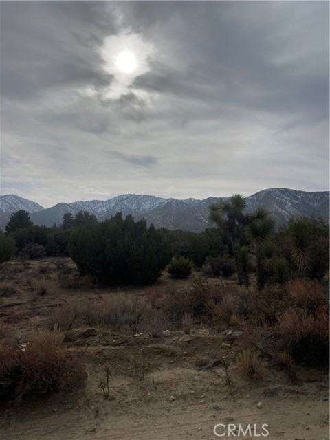 Detail Gallery Image 9 of 15 For 14 E Vac/Z14e Lepage Ranch Rd/Vic,, –,  CA 93543 - – Beds | – Baths